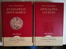 Cristian Badilita Evanghelia după Ioan, Apocalipsa