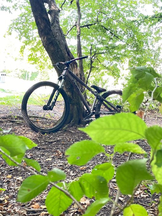 Bicicleta cube flyng circuls