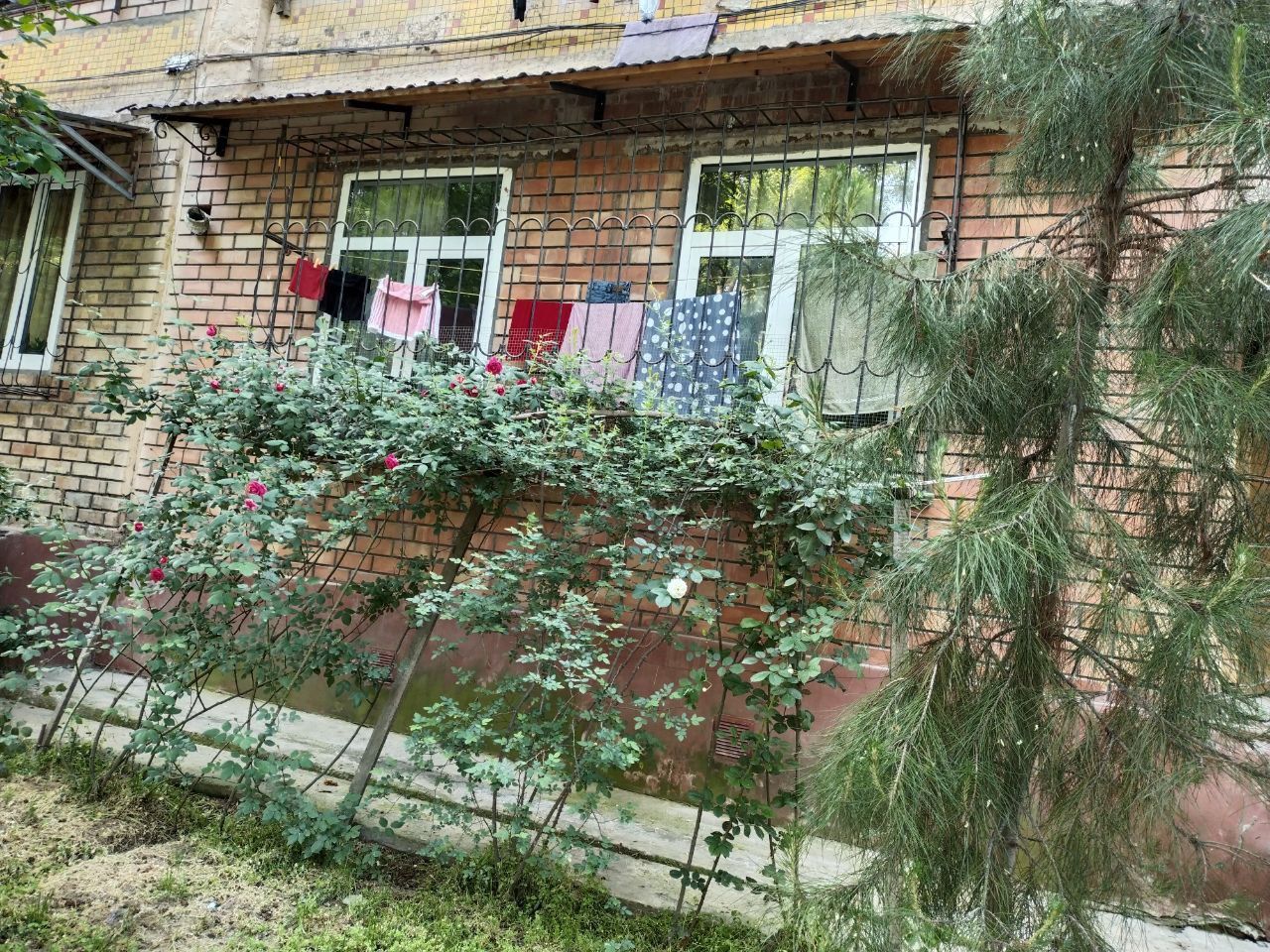 Чилонзор 20 квда 2/1/4 квартира арендага берилади