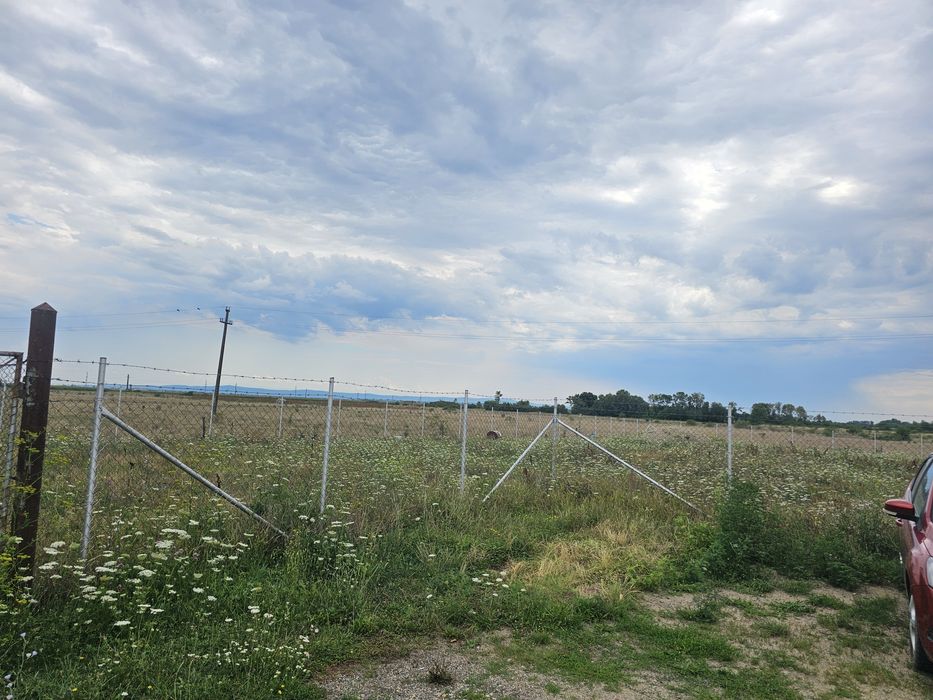 1268mp teren intravilan