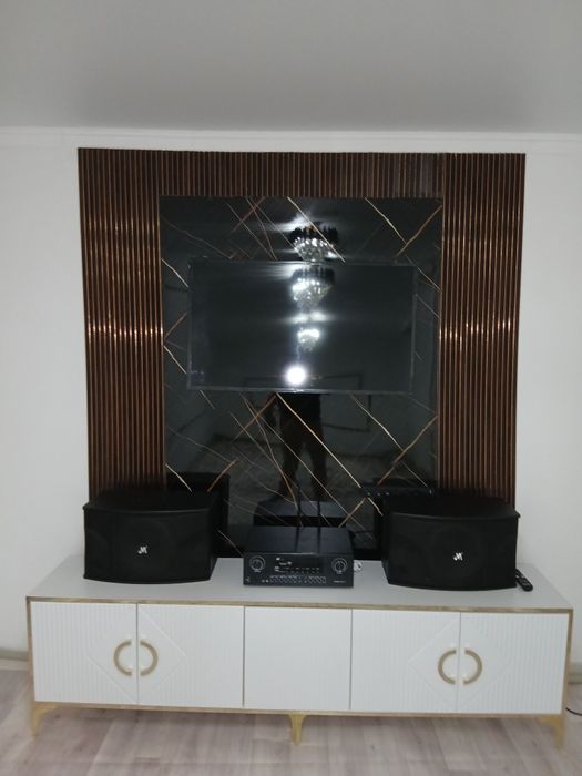 Оригинал профессиональный караоке апарат с колонки и пару штук микрофо