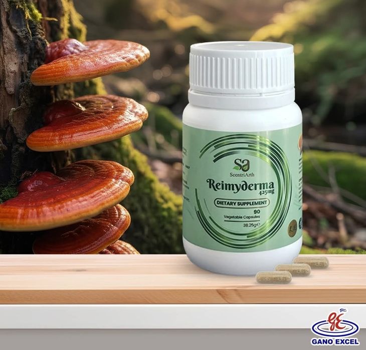 Suplimente Naturiste cu ciuperca Ganoderma.