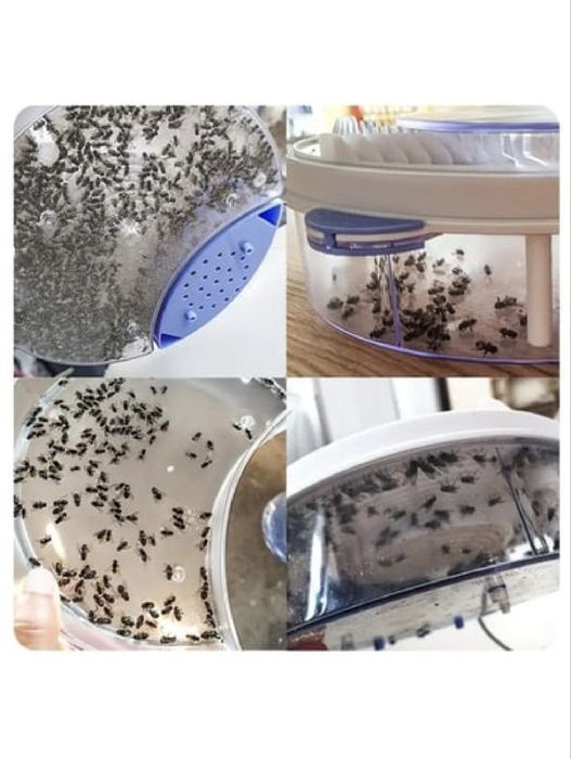 Мухоловка от мух