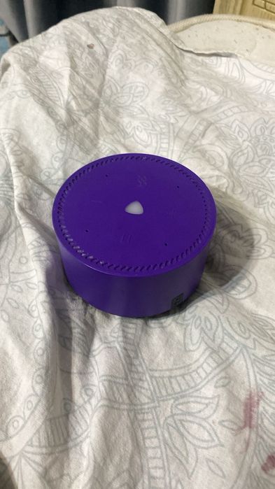 Алиса помощник новый