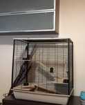 Pachet cușcă hamster, accesorii, jucării, mâncare și cușcă transport