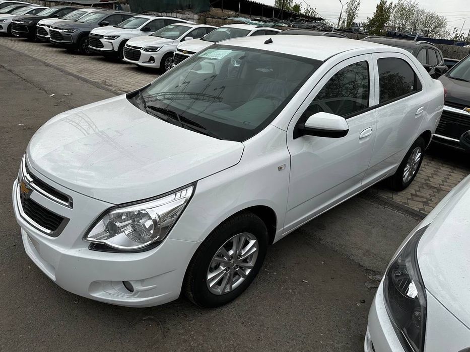 Cobalt Stayl 2025/25.