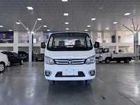 FOTON truck mate I d1