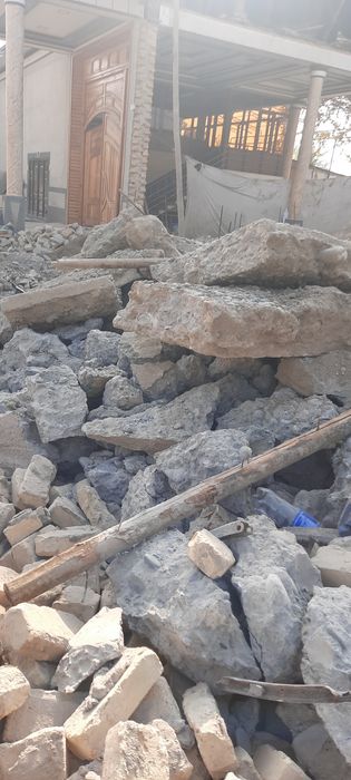 Biton sinigi bekarga