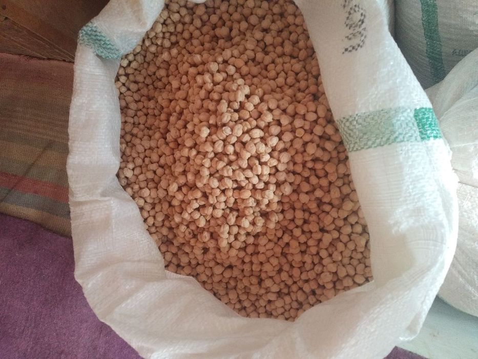 Noʻxat eng yaxshisi