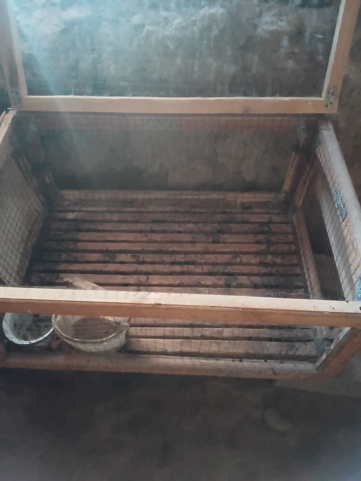 Quyon ini sotiladi