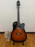 Akustik gitara 41 Ashton D20CEQTBS