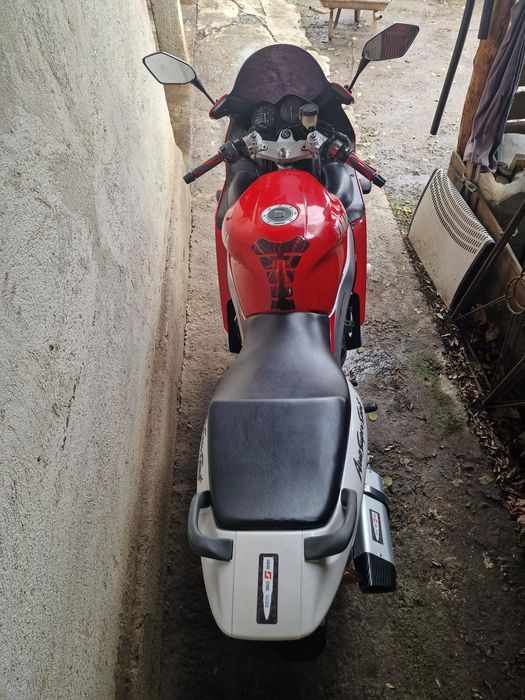 Yamaha 600 thundercat