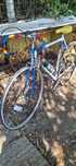 Cursiera Raleigh