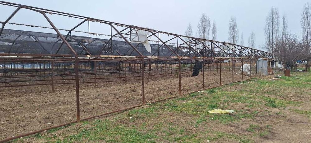 Сирдарё вилояти Сирдарё тумани Малик МФЙда иссиқхона биноси