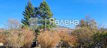 ЯВЛЕНА ЛАГЕРА продава парцел в с. Мала Раковица