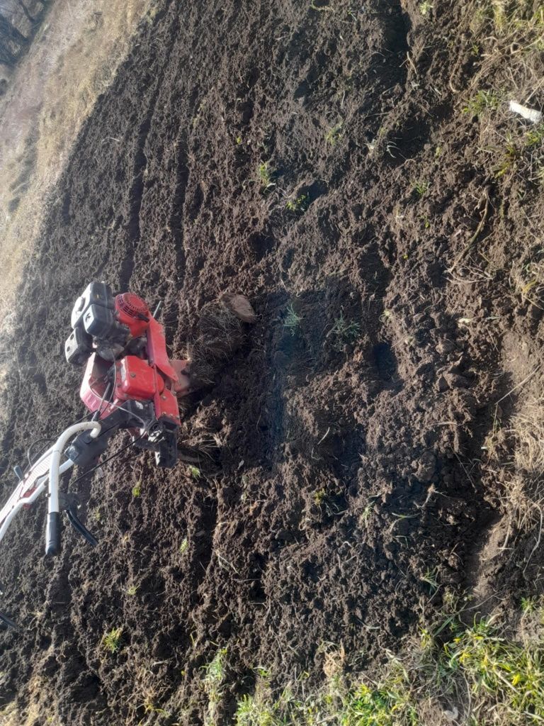 Prestez servici de agricultura