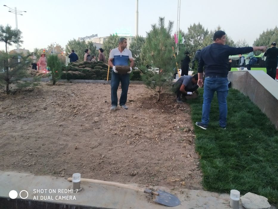 Газон экиш хизмати,