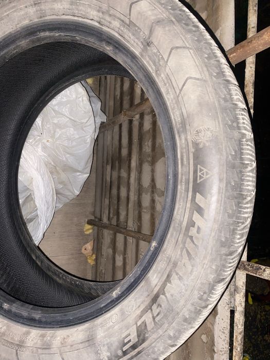 Triangle зимние шины