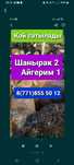 Бараны Бараны Алматы