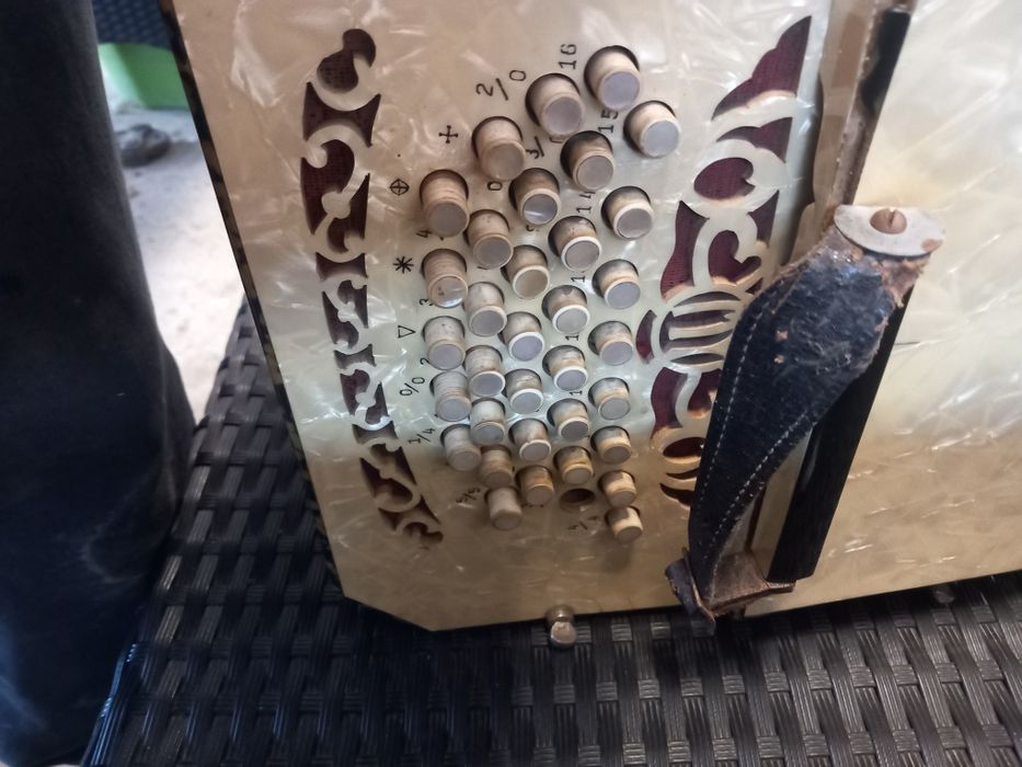 Bandoneon vechi adus din Germania