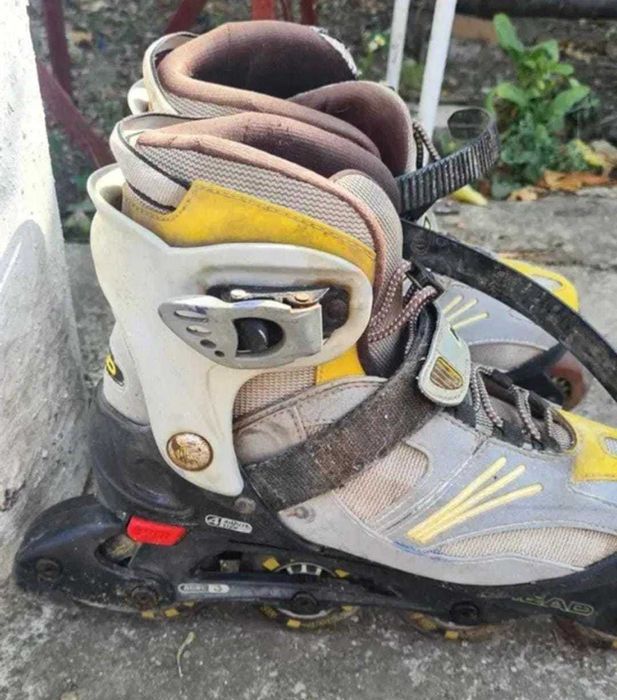 Role profesionale Head