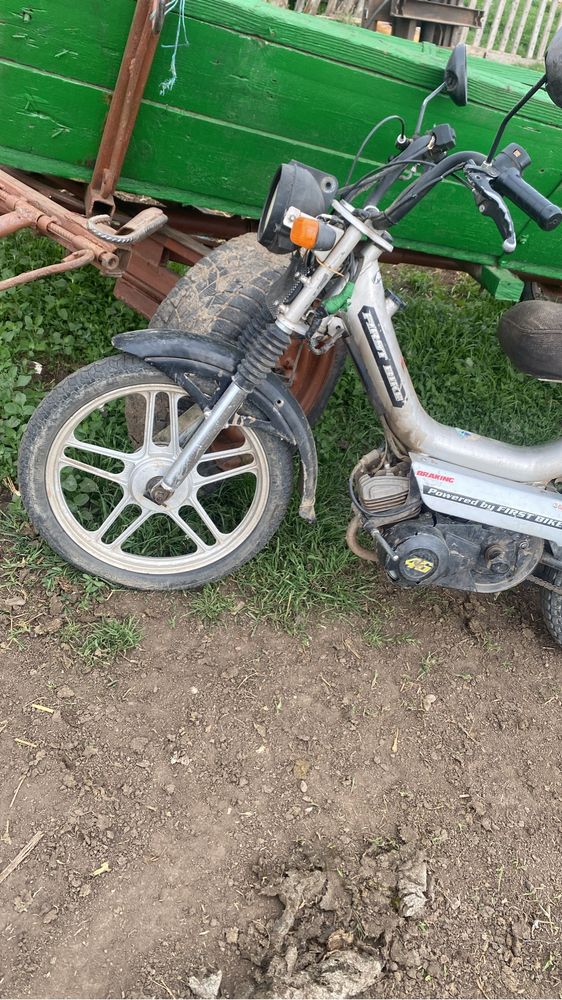 Moped first bike