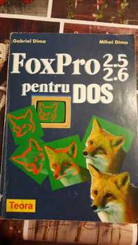 FoxPro 2.5 2.6 pentru DOS