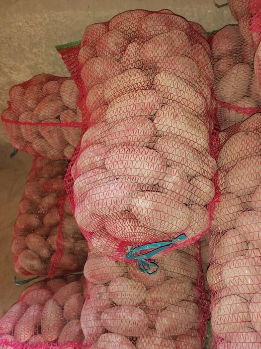 Vand cartofi rosu sí alb