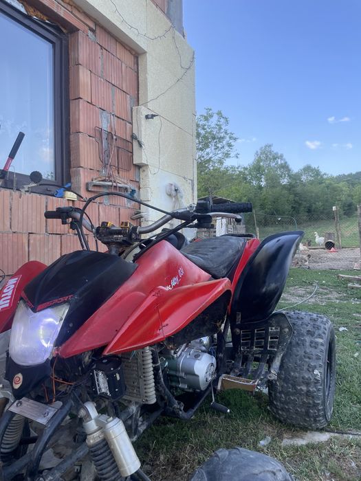 vand bashan 250cc