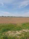 Vand teren intravilan 2972mp in Clinceni, aproape de A0, asfalt