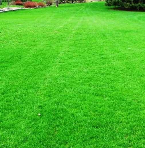 Gazon Rulou Si Sisteme de irigatii + Insamantare