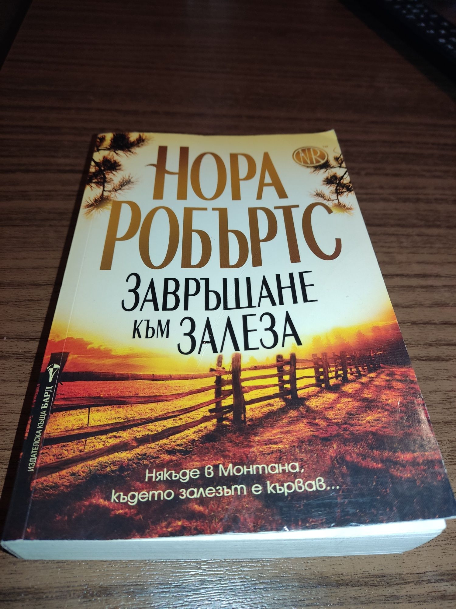 Книги, романи, класически произведения