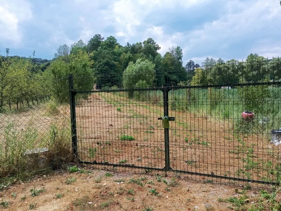 Teren agricol, 3000 mp, la șosea cu pomi