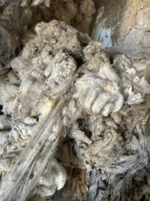 Ақ   Жүн сатылады