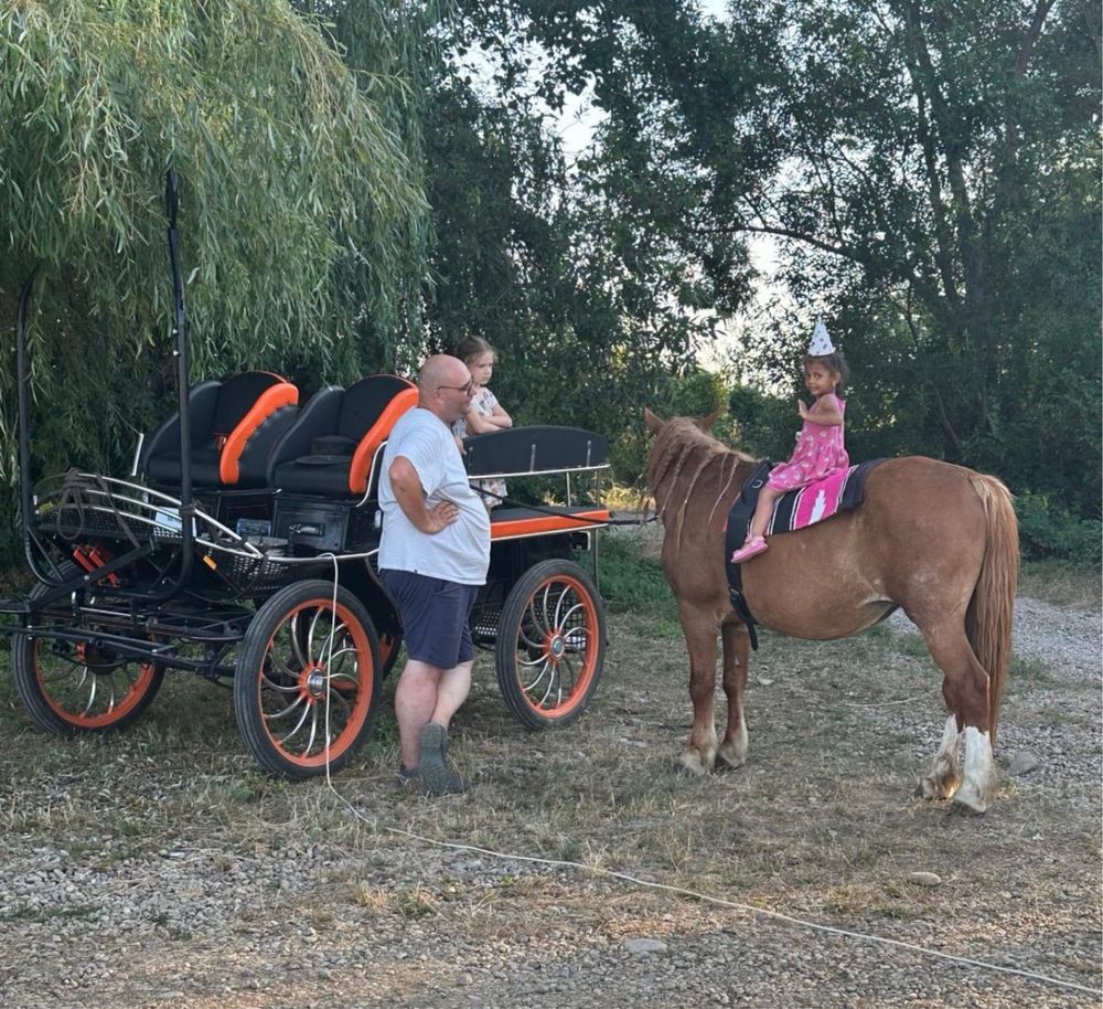 Șaretă de vânzare – model tip maraton, unicat, comandă specială