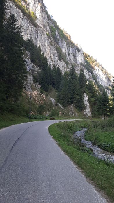 Teren la munte superb Ciocanu Dambovicioara