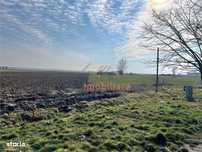 Teren Intravilan | Dublu Front | Nojorid E671 (Oradea–Salonta) | 5985
