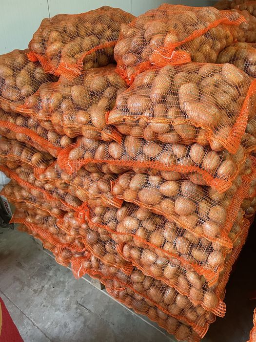 Cartofi vonsum praspat ambalat