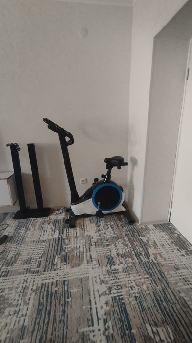 Velik elektroni spartivni