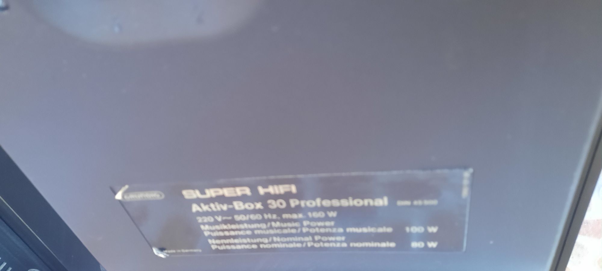 Grundig Profesional Box30  Тонколони с Усилвател