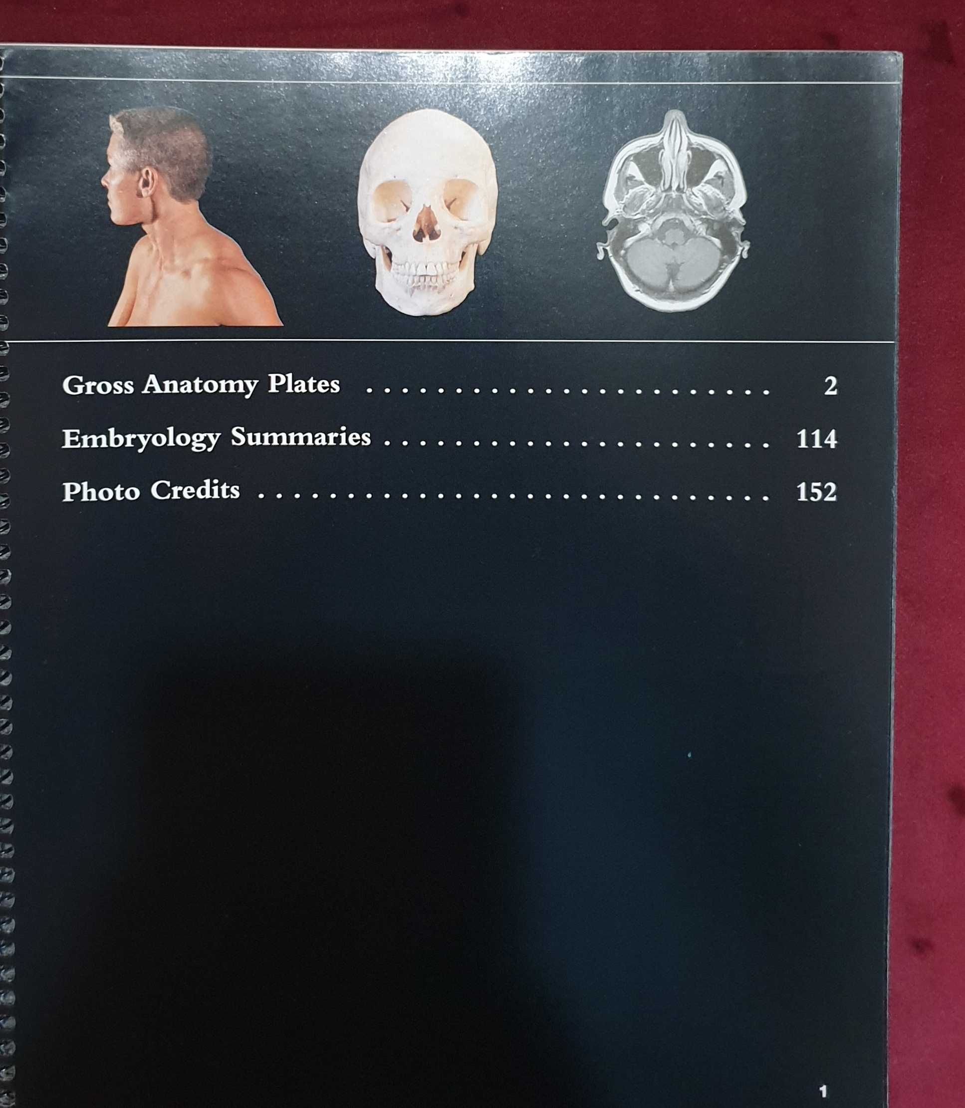 Martini's Atlas of the Human Body
