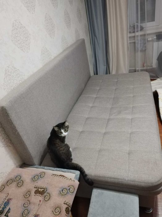 Раскладной диван