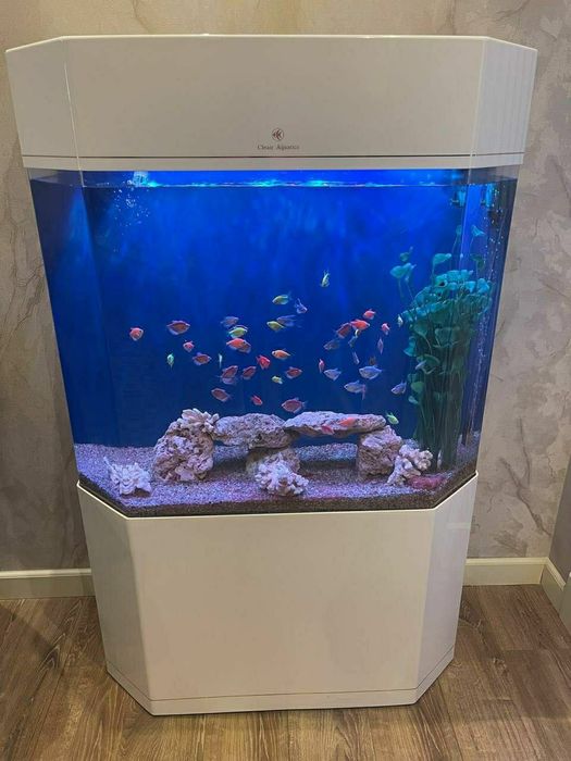 Xitoy akril akvarium baliqlarsiz 220 litr atrofida