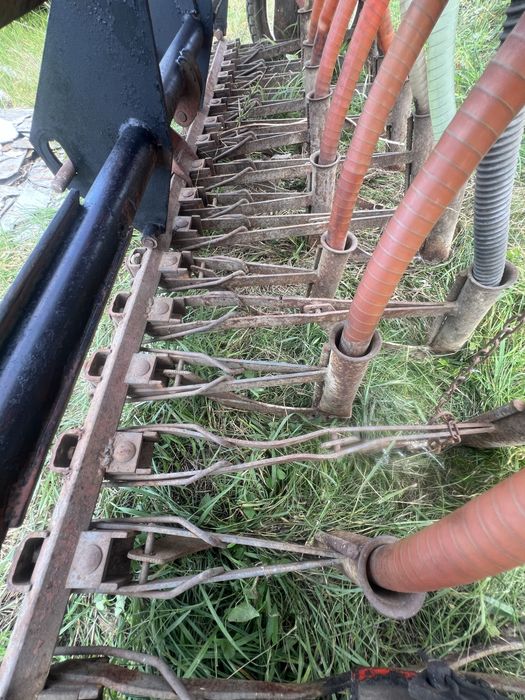 Semanatoare paioase Moreni