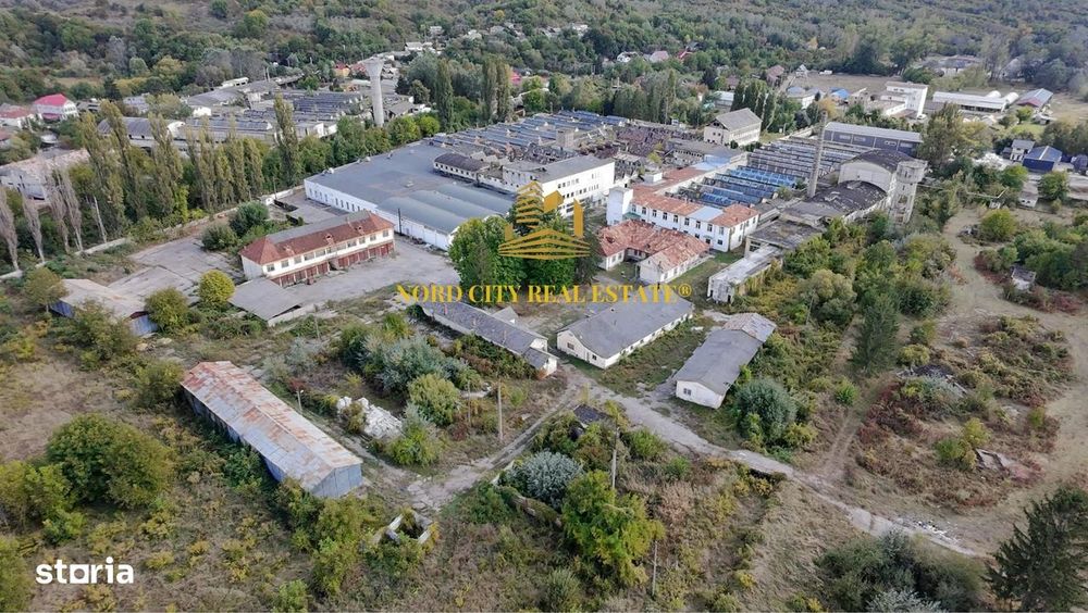 Platforma Industriala-8 ha -Fabrica-Hale Productie-21.500 mp