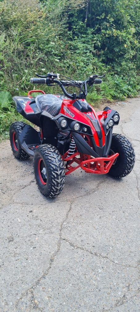 Mini Atv Quad Renegade electric 1000w 48v 3 viteze reglabile la cheie