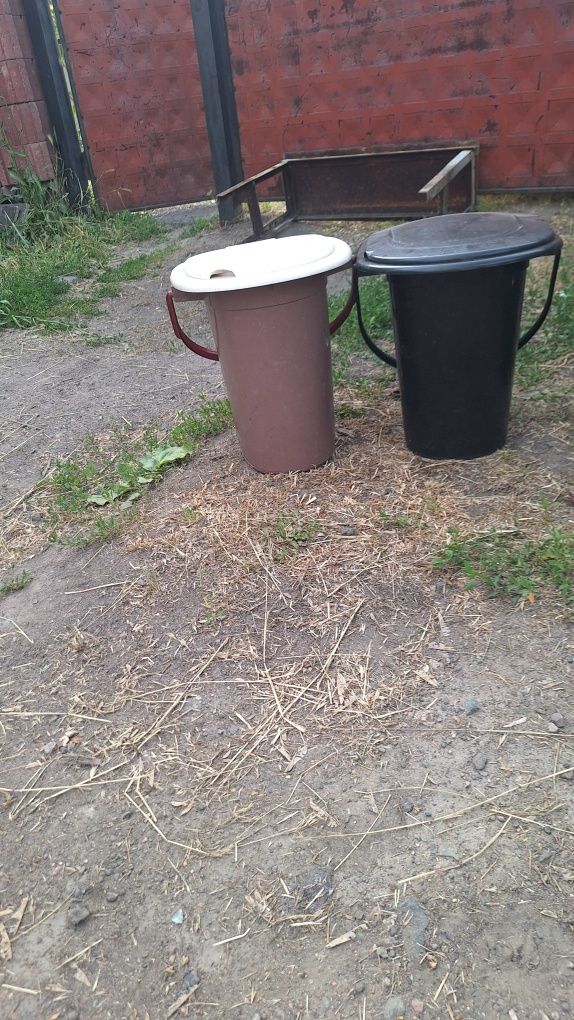 Отдам даром бесплатно