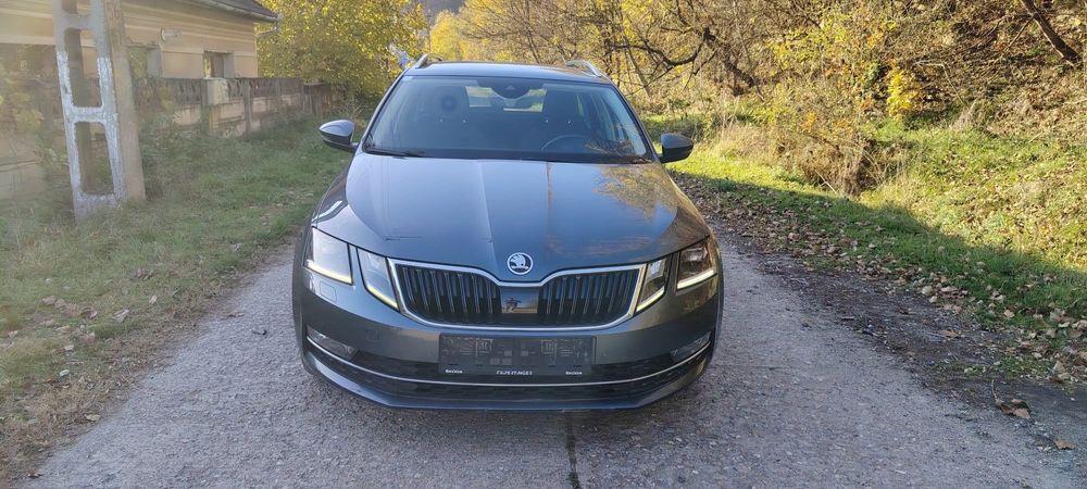 Skoda Octavia 1.6 tdi 4x4 2019 EURO 6