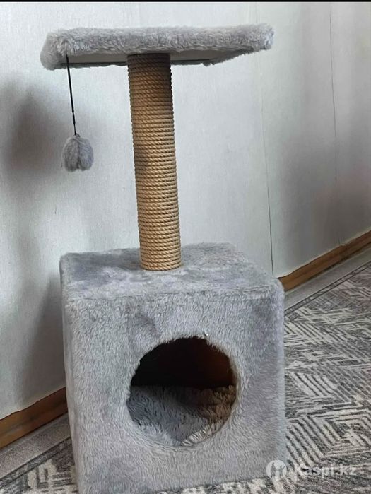 комплекс для кошки.