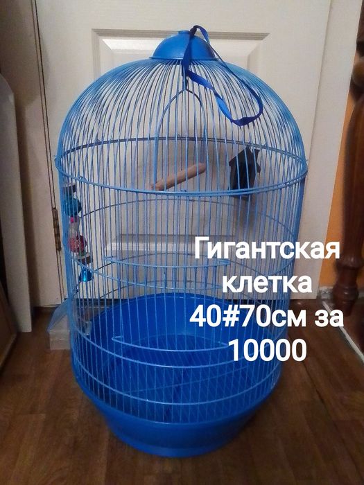 Гигантская клетка за низкую цену . Без торга